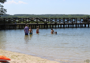 Zdjęcie 15 na 41