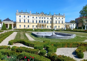 Zdjęcie 2 na 13