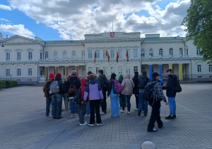 Zdjęcie 11 na 13