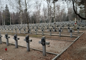 Zdjęcie 15 na 17