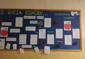 Zdjęcie 7 na 13
