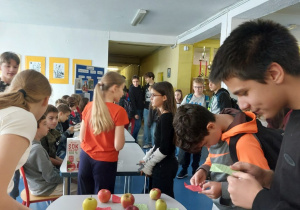 Zdjęcie 8 na 13