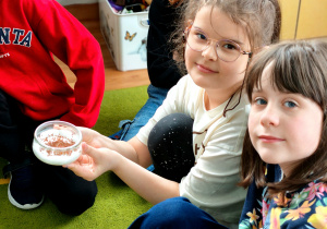 Hodowla rzeżuchy w klasie 2c.