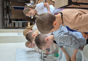 Warsztaty żywieniowe dla klas 1 - 5.