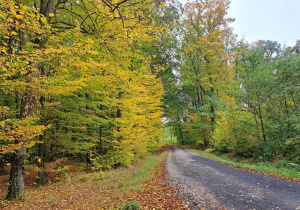 "EkoRok ze Źródłami w Naturze"