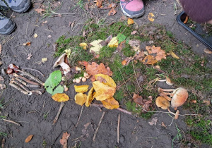 "EkoRok ze Źródłami w Naturze"