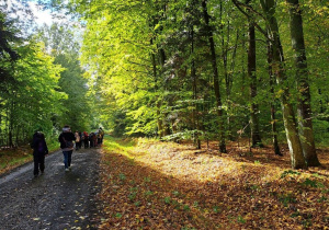 "EkoRok ze Źródłami w Naturze"