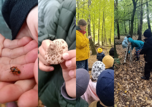 "EkoRok ze Źródłami w Naturze"